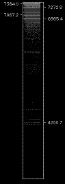 ArM_B600_view.GIF
