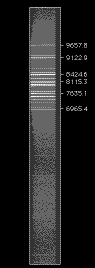ArM_O300_view.GIF