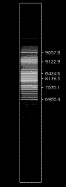 ArM_R300_view.GIF