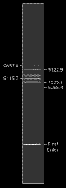 ArM_V150_view.GIF