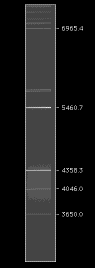 HgM_B600_view.GIF