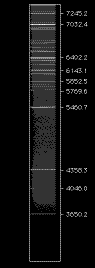 MixM_B600_view.GIF