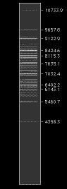 MixM_O300_view.GIF