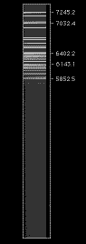 NeM_B600_view.GIF