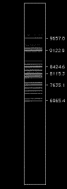 ArO_R150_view.GIF