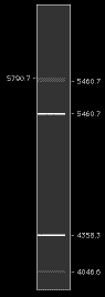 HgO_B400_view.GIF