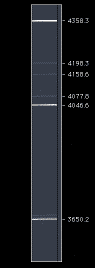 MixO_U900_view.GIF