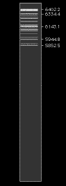 NeO_B400_view.GIF