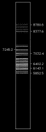 NeO_V150_view.GIF