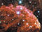 Thumbnail image of picture found for this day.