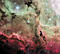 Thumbnail image of picture found for this day.