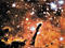 Thumbnail image of picture found for this day.