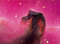 Thumbnail image of picture found for this day.